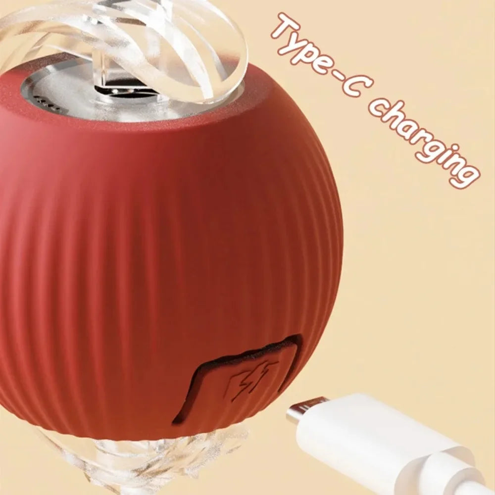 Interactive Cat Ball Toy