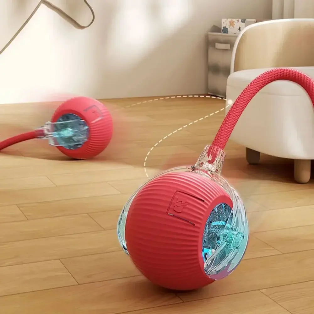 Interactive Cat Ball Toy