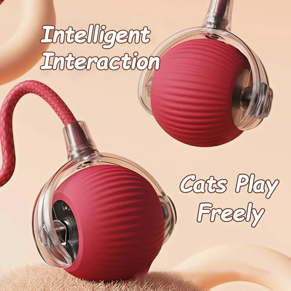 Interactive Cat Ball Toy