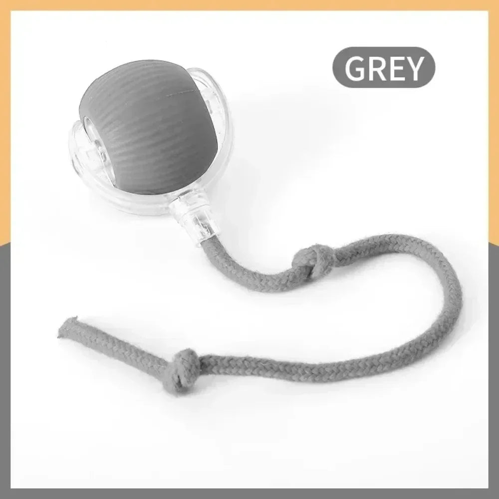 Interactive Cat Ball Toy