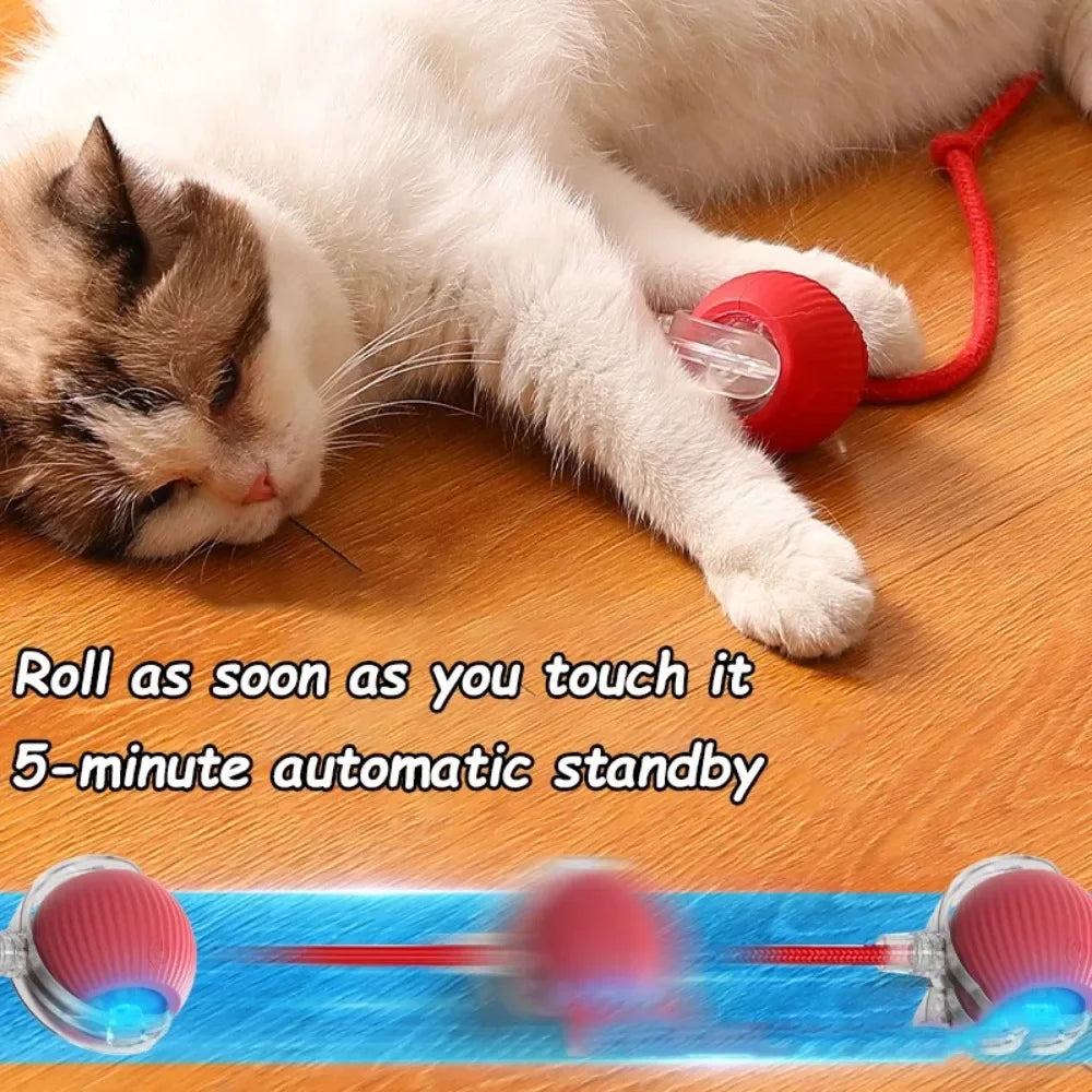 Interactive Cat Ball Toy
