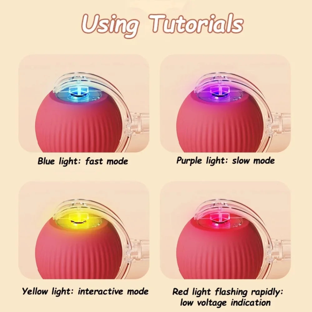 Interactive Cat Ball Toy
