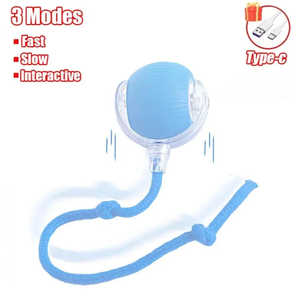 Interactive Cat Ball Toy