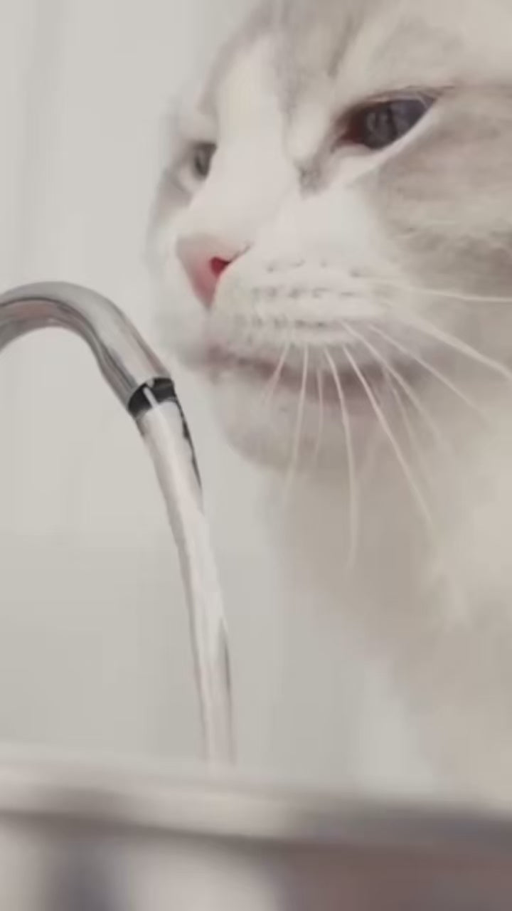 Fuente de Agua para Gatos de Acero Inoxidable 3.2L - Automática con Filtro y USB